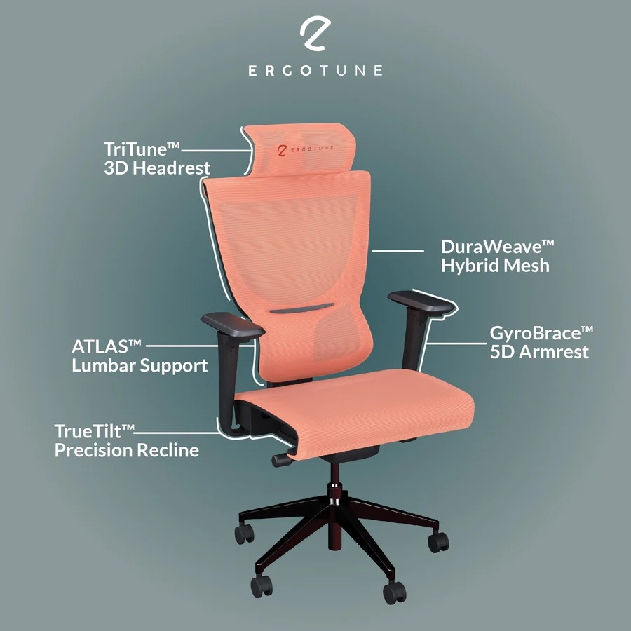 ErgoTune Supreme V3 Ergonomic Office Chair Review: Totally Awesome