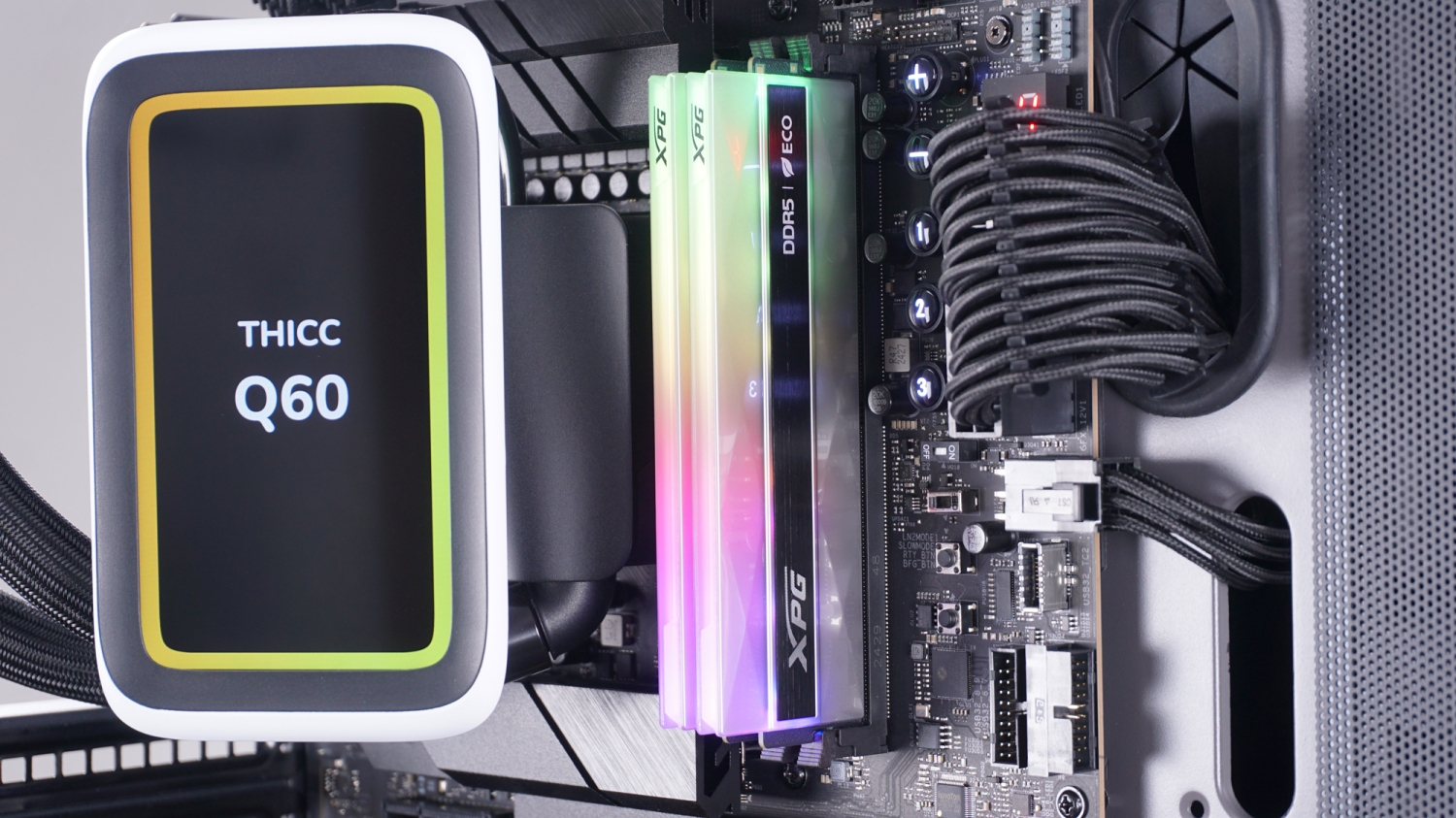 XPG Lancer Neon RGB ECO DDR5-8000 32GB CUDIMM Dual-Channel Memory