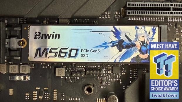 Biwin M560 2TB SSD - Best Overall Retail-Ready DRAMless SSD