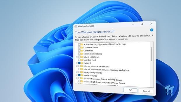 Here's the four Windows 11 components I only add when a job calls for them