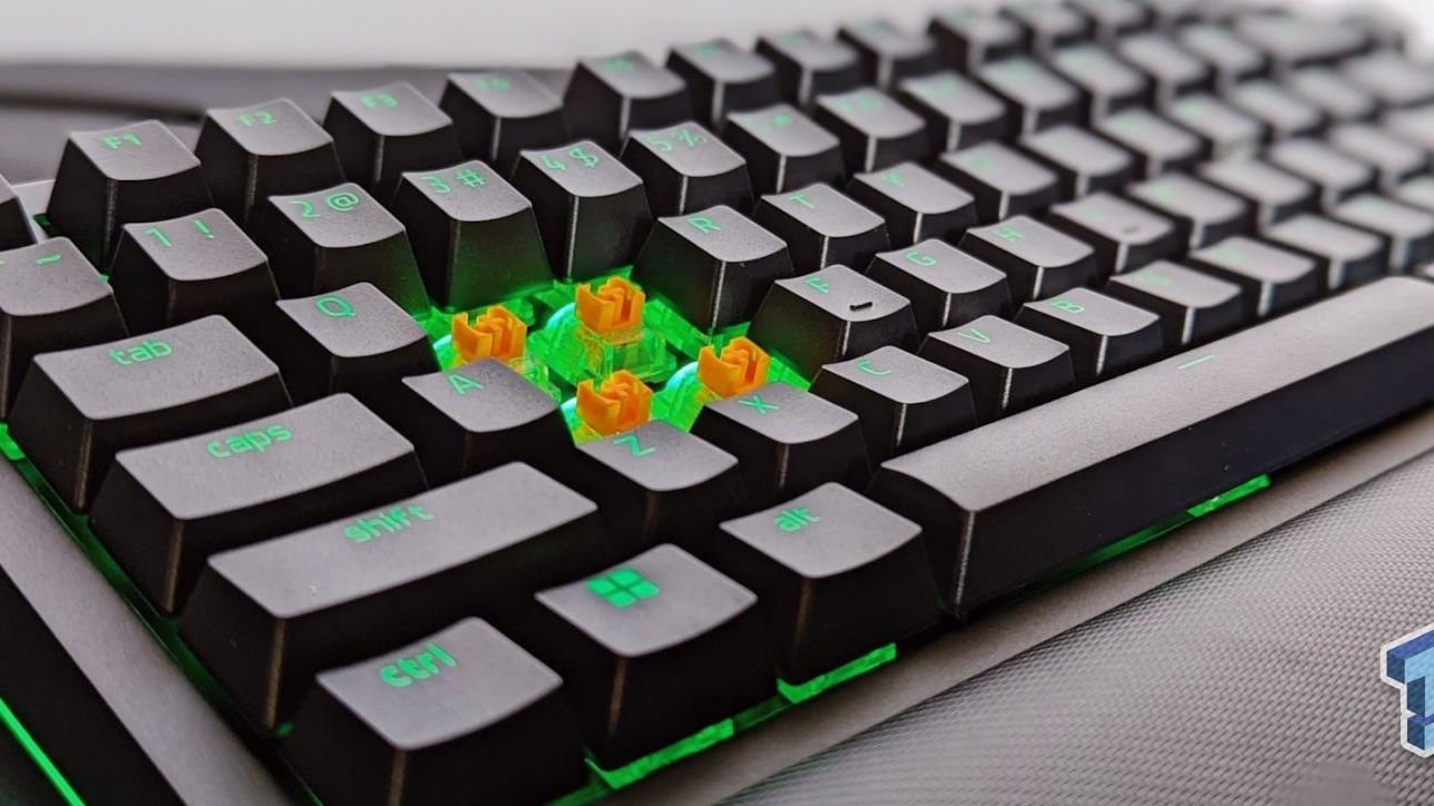 Best Razer Keyboard Yet! NEW Razer Blackwidow V4 75% Review 