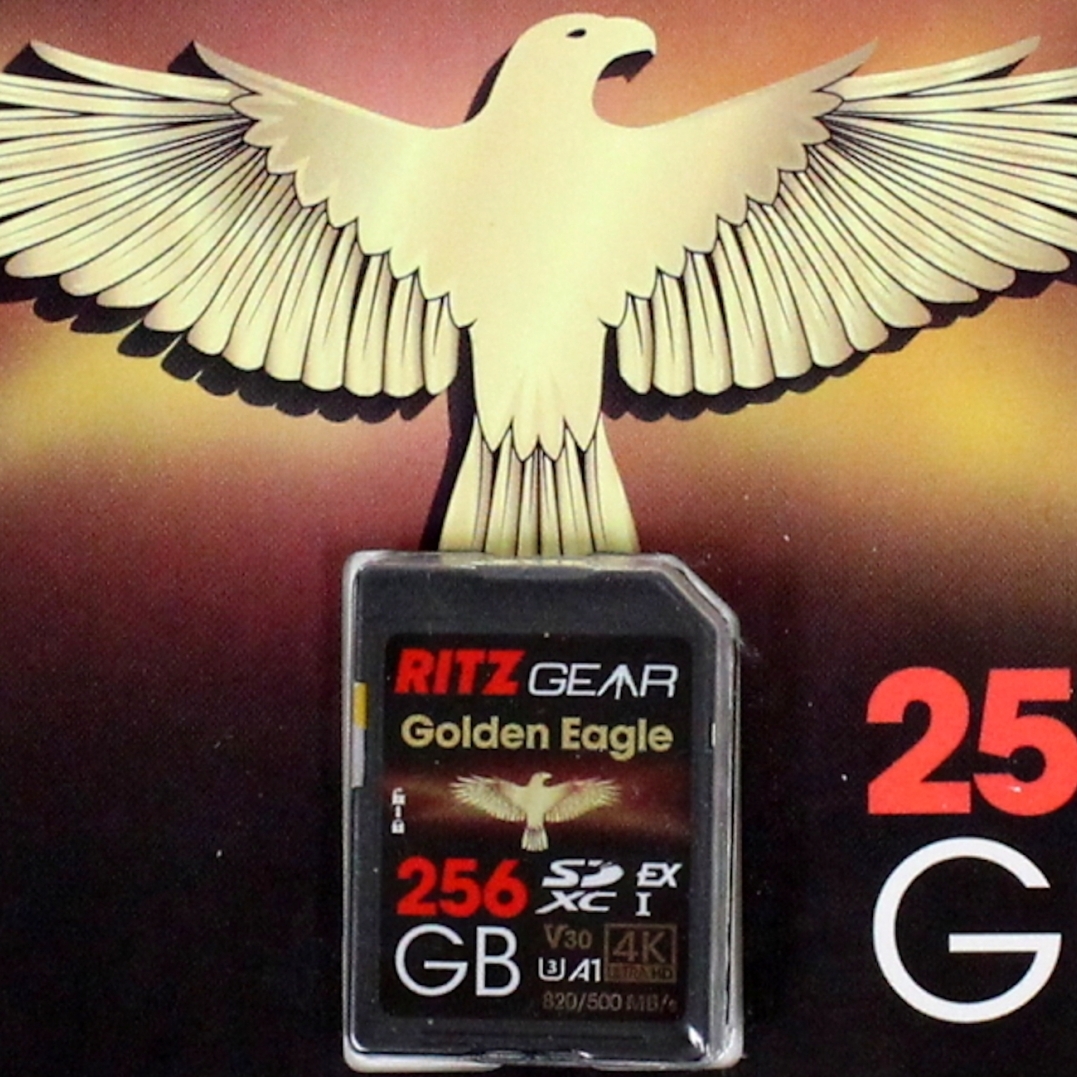 10118_ritz-gear-sd-express-