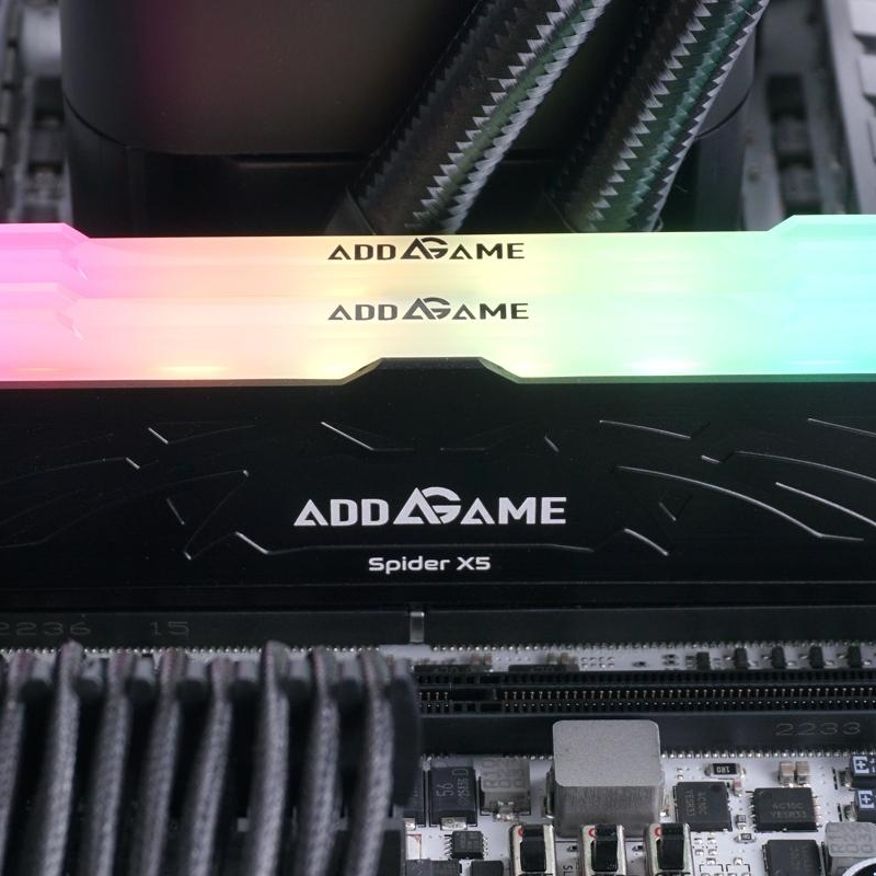10440_addlink-addgame-spider-