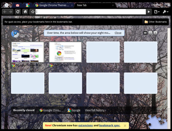 Google Chrome OS hands-on (Dev Build November 20, 2009) 18