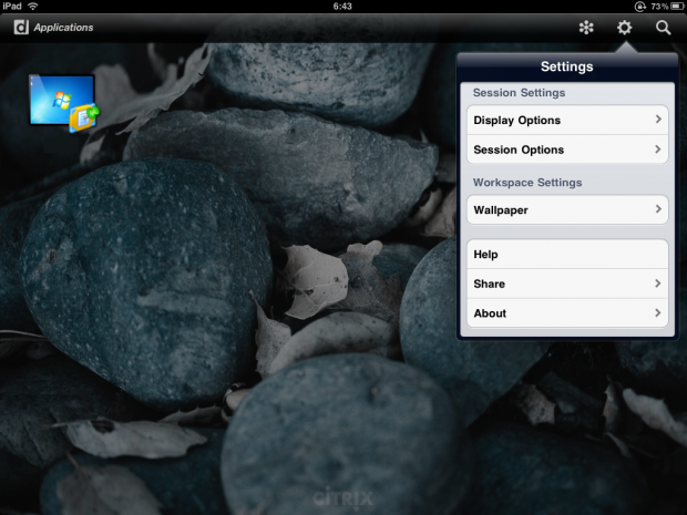 Getting more from your iPad with Citrix and Desktop Connect 24