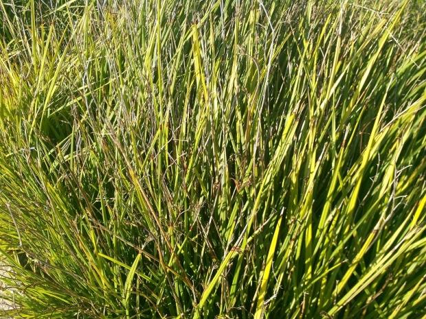 ASUS Transformer Pad Infinity (TF700T) Tablet Review 22