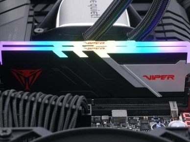 10196_patriot-viper-venom-rgb-