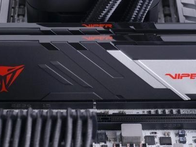 10369_patriot-viper-venom-ddr5
