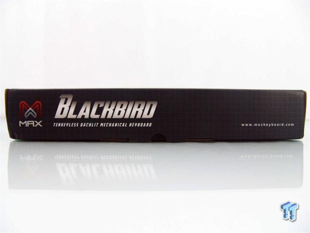 MAX Keyboard Blackbird Tenkeyless Mechanical Backlit Keyboard Review 03 MAX Keyboard Blackbird Tenkeyless Mechanical Backlit Keyboard Review 03