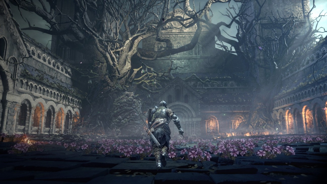 Here's the hardware required to run Dark Souls 2 on PC