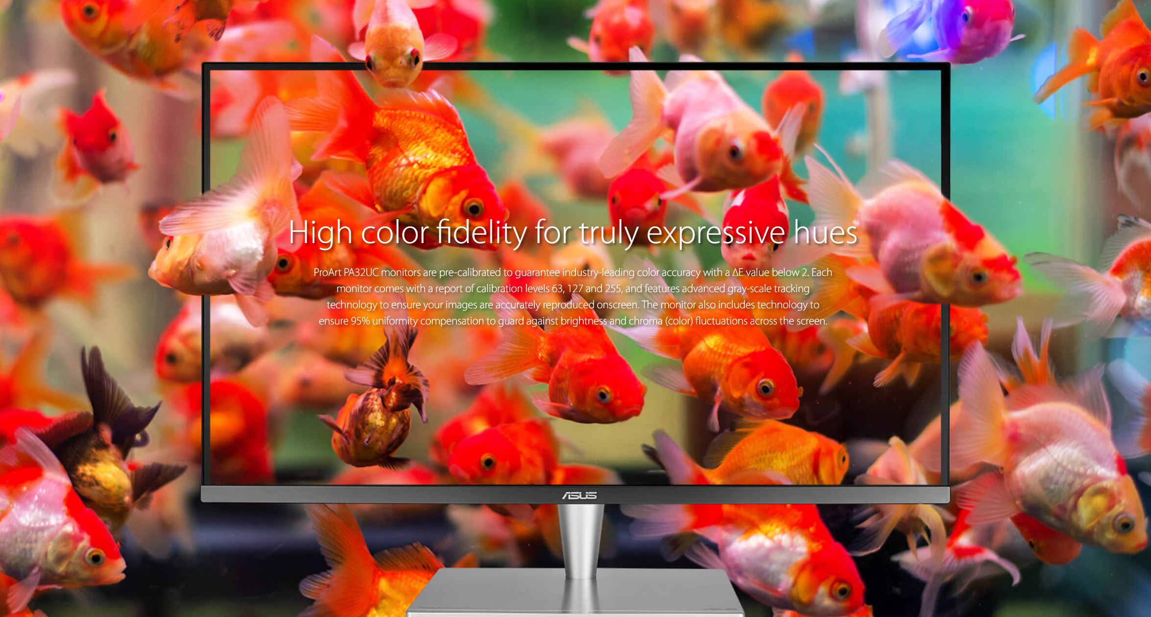 Open enlarged image ASUS ProArt PA32UC Monitor: Workstation Monitor Perfection 26