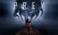 Prey benchmarked: Radeon RX 580 vs. GeForce GTX 1060 Prey benchmarked: Radeon RX 580 vs. GeForce GTX 1060
