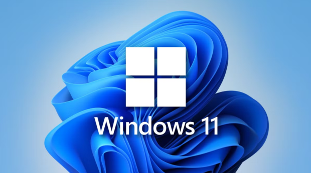 Windows 11 steals market share from world's most popular OS ahead of official support severing