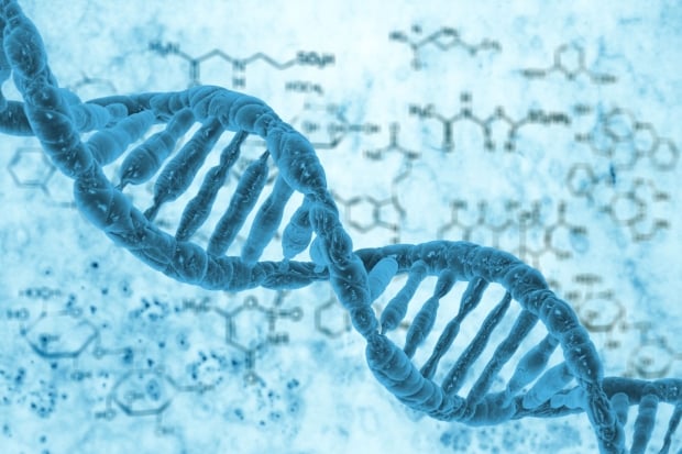 Scientists discover gene that if tweaked can extend life by up to 30%