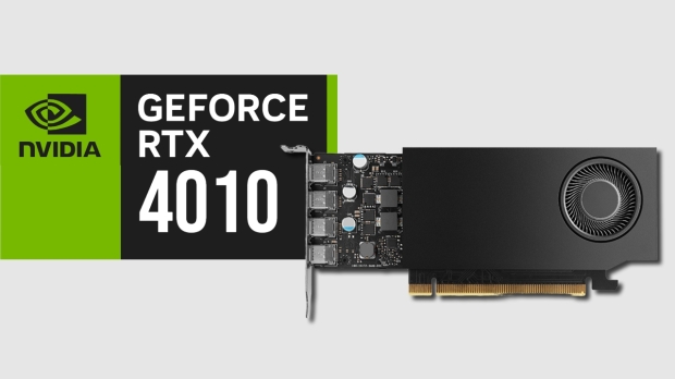 Budget GeForce RTX 4010 GPU spotted in China, but it's not real
