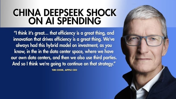 Apple CEO Tim Cook says DeepSeek shows 'innovation that drives efficiency' 40