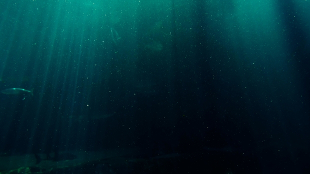 New underwater data center capsule in China packs the power of 30,000 high-end gaming PCs