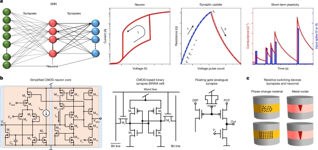 Scientists trying to merge human neurons with semiconductors, human brain to power the future 802