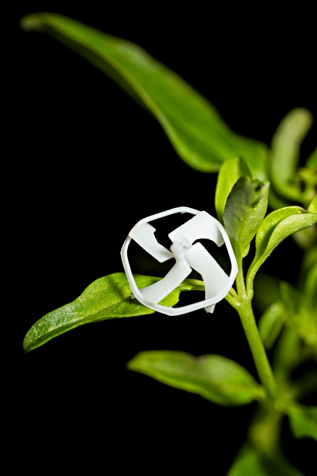 TweakTown Enlarged Image