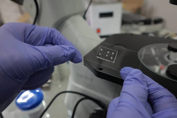 The "microfluidic chip" with the race course