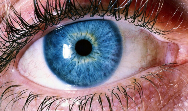 Scientists discover naturally impossible color by hacking a human eye