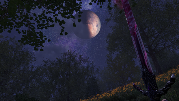 Oblivion Remastered photo mode guide: How to take HUD-free screenshots (works on PC Game Pass) 8