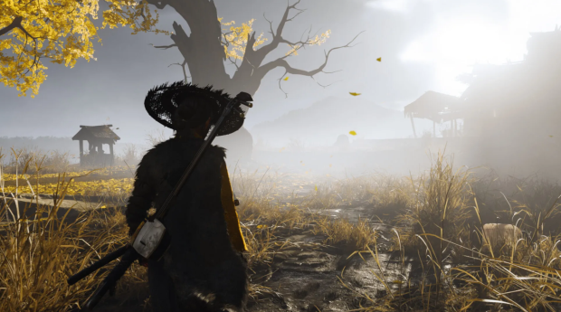 PlayStation's best collectors edition yet and doesn't come with the physical game