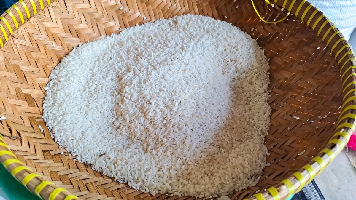 Ancient 2,000-year-old rice resurrected with modern technology