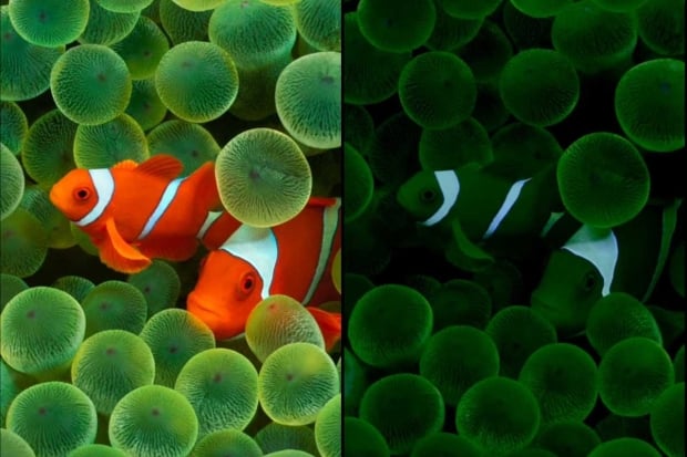 Apple's ultra-thin iPhone 17 Air teased in iOS 26 Beta 2: 6.6-inch display at 2736 x 1260 res 303