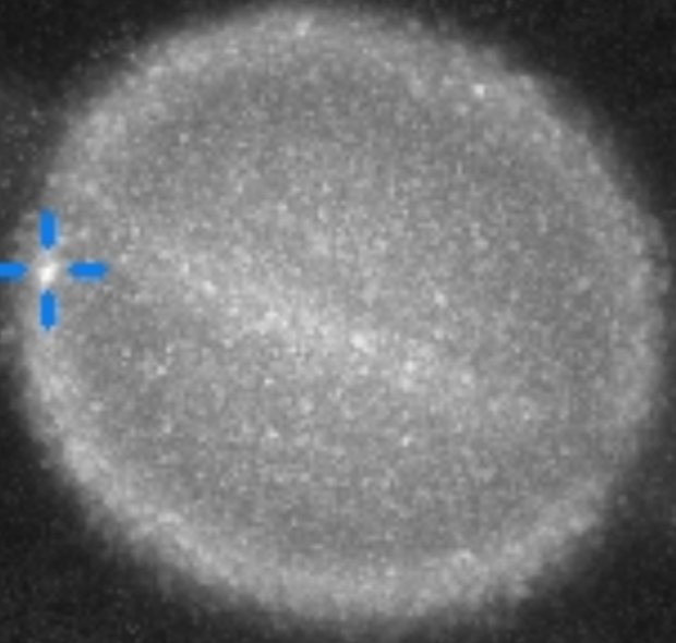 Saturn may have just taken a historic hit - and someone caught it on camera 55665