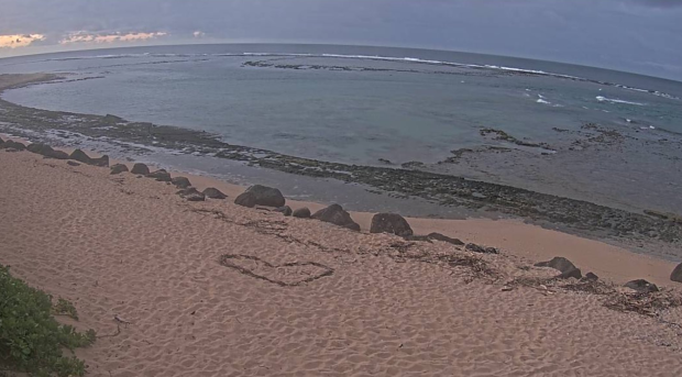 Hawaii braces for 'wall of water' after sixth biggest earthquake ever recorded hits Russia