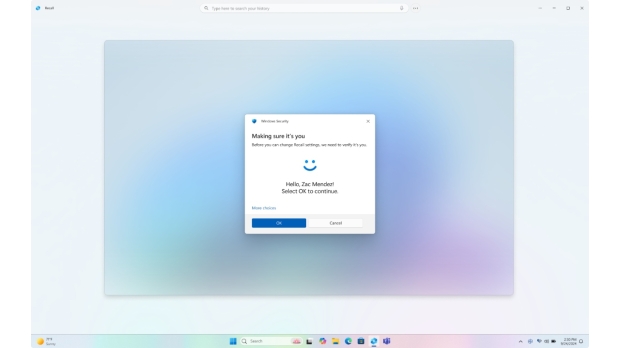 Microsoft Recall is still screenshotting sensitive data like credit cards and passwords 3