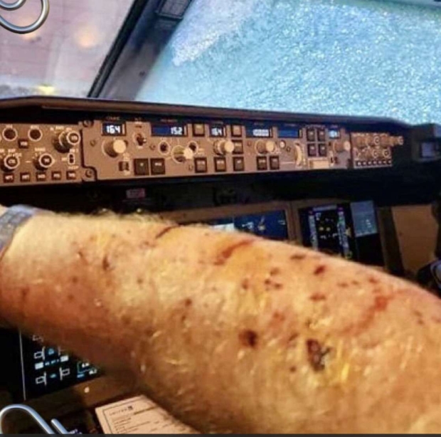 Tech CEO admits responsibility for smashing airplane windshield mid-flight 615165