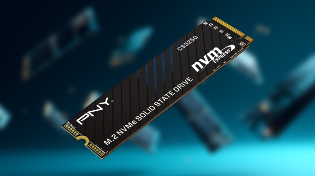 PNY's new CS3250 M.2 NVMe PCIe Gen5 SSD - 14,900 MB/s speed for only $125