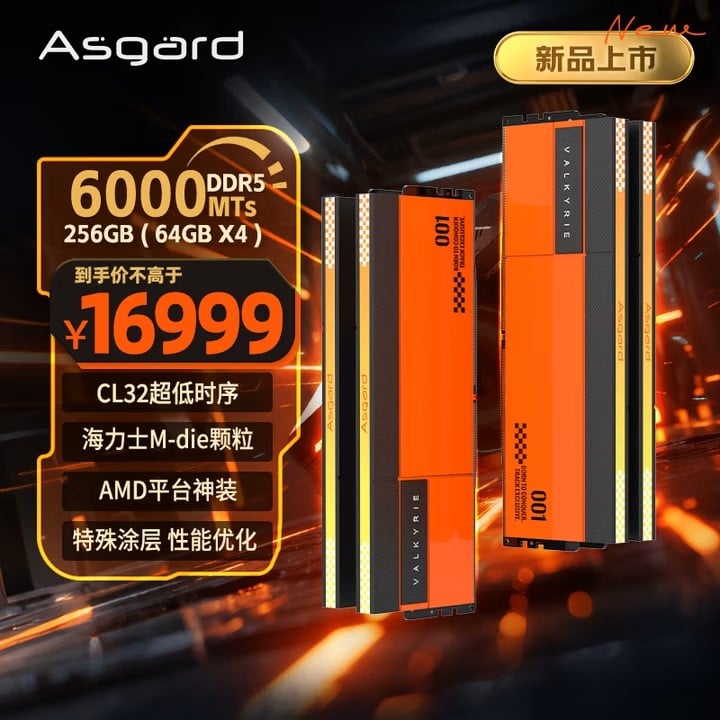Asgard intros new 192GB and 256GB DDR5 kits: 256GB DDR5 costs as