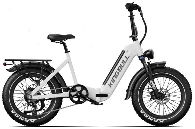 KINGBULL Christmas Guide: Literider 2.0 and Its Premium Alternatives 2