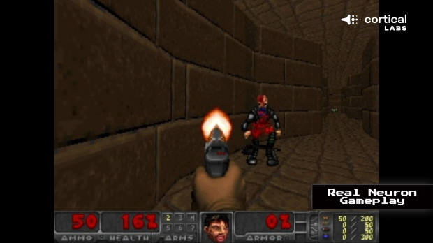 Scientists teach 200,000 human neurons to play the original DOOM