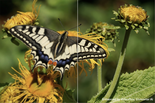 VideoProc Converter AI: Best AI Video & Image Enhancer in 2026 3