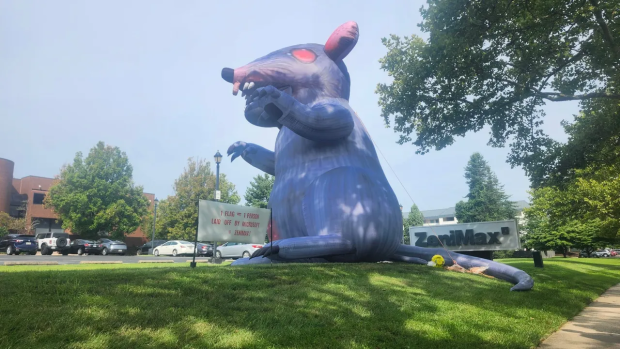 Xbox CEO welcomed with giant rat, layoff graveyard in visit to Bethesda offices