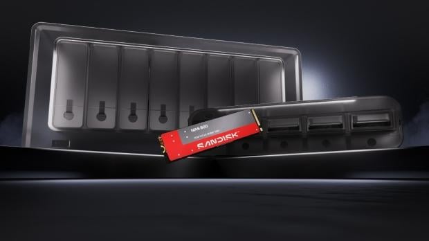 Sandisk NAS 800 NVMe SSD, image credit: Sandisk