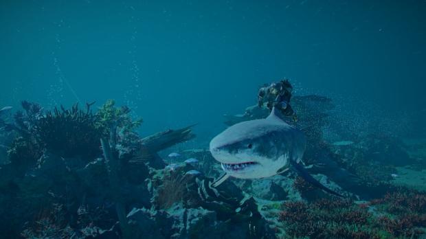 Crimson Desert's first expansion lets you swim with sharks, fight robot whales, and customize your castle 6