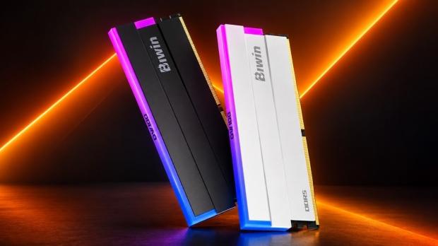BIWIN launches first AMD EXPO ULL DDR5-6000 kit, claims up to 18% higher minimum FPS 3