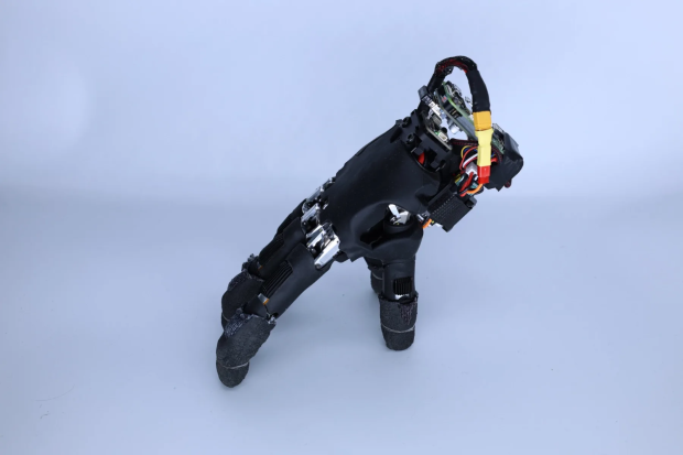 Researchers built a disembodied robotic hand that walks on its fingertips, types, and pushes objects 1