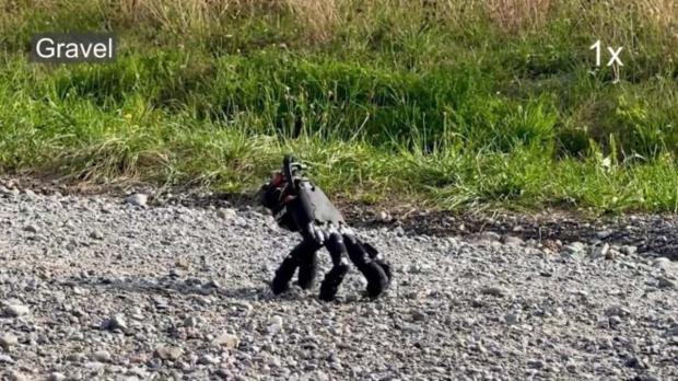 Researchers built a disembodied robotic hand that walks on its fingertips, types, and pushes objects
