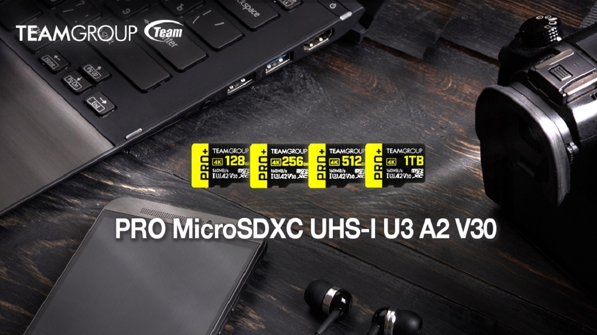  TEAMGROUP GO Card 256GB Micro SDXC UHS-I U3 V30 4K for