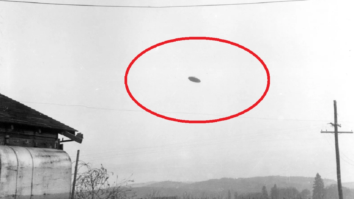 1 in 5 professors across the US say they've encountered a UFO