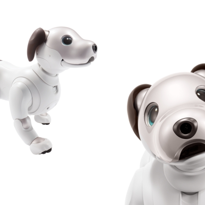 Sony Japan has created a foster care program to find new homes for