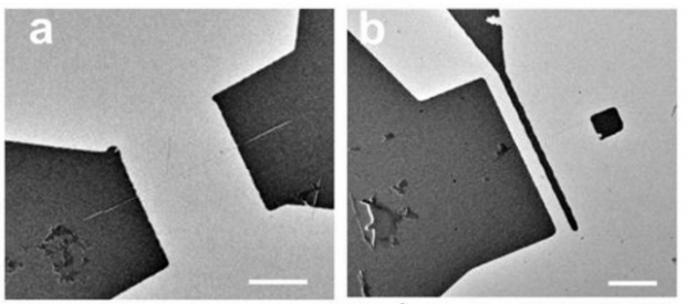Open enlarged image Carbon nanotube circuits could outsource their heat to a separate device | TweakTown.com