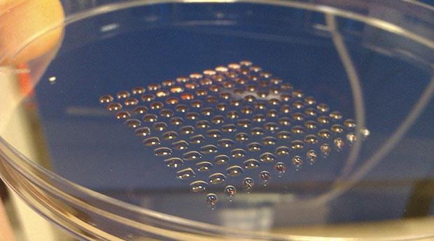 Scientists develop 3D-printed embryonic stem cells, we could soon see lab-made organ transplants a reality | TweakTown.com Scientists develop 3D-printed embryonic stem cells, we could soon see lab-made organ transplants a reality | TweakTown.com