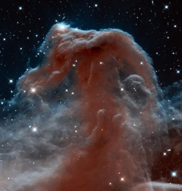 SpaceTT: Hubble Telescope takes a new look at the Horse Head Nebula, resulting image will blow your mind 2 SpaceTT: Hubble Telescope takes a new look at the Horse Head Nebula, resulting image will blow your mind 2